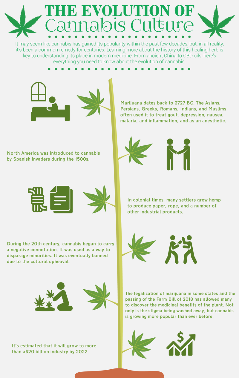 The Evolution of Cannabis Culture