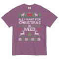 All I Want For Christmas Is Weed Ugly Tee | Festive Cannabis Shirt | Holidazed Humor | Magic Leaf Tees