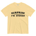 Surprise I'm Stoned: Hilarious Cannabis Confession Tee for Unexpected Highs! - Magic Leaf Tees