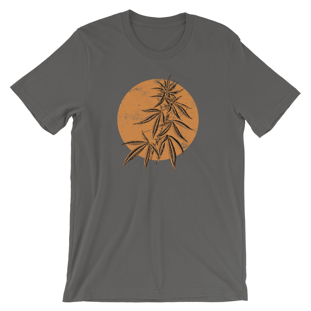 Zen Marijuana Bonsai T-Shirt - Magic Leaf Tees